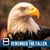 Quiet Man's profile image