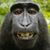 Jeff Williams's profile image