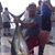 Joao Brasil's profile image