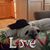 Tammy Bowman Wankel's profile image