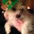 Linda Calabrese's profile image