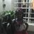 Alexandra Motta Higuera's profile image