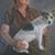 Jane Gordon Cox's profile image