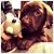 Stacey Everett McKee's profile image