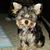 Walter Kroll's profile image
