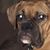 Traci Stevens's profile image