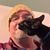 Chris Casey's profile image
