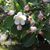 Linda Butler Dunn's profile image