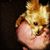 Edward Harris's profile image
