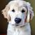 Bob Green's profile image