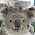 Lindy Sharpe's profile image
