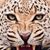 Tameka Diggs's profile image