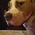 Julie Peperone-Scott's profile image