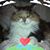 Stefanie Matusky - Spies's profile image