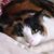 Angie Davis's profile image