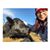 Kelsey Brooke Quesenberry's profile image