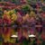 Catherine Ware's profile image