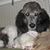 Eileen Ella Cook's profile image