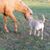 Connie Fischer's profile image