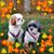 Mirian Rivelli's profile image