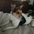 Amie Nelson-Wolf's profile image