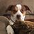 Alisha Robison's profile image