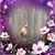 Lisa Rollins Brasseur's profile image