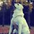 Sharon Hamlett Daubenspeck's profile image