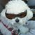Robbie Porter Payne's profile image