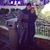 Staci Rowenhorst's profile image