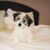 Jasmine Alixandra North's profile image