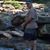 Joe Trimboli's profile image