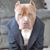 Onofis Carrion Mateo's profile image