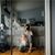 Lindsay Ann McCrea's profile image