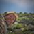 Jorg Breuning's profile image