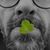 Massimiliano Bertozzi's profile image
