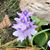 Lori Carman's profile image