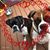 Linda Giacalone's profile image