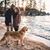 Jodi Krause's profile image