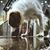 Laura Cecil Rizos's profile image