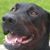 Veronica Helcher's profile image