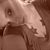 Tiffany Petasek's profile image