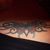 Misty Machelle Shelton's profile image