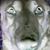 Ed Beck's profile image