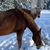 Denise Alexander Knudtson's profile image