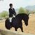 Brenda Forsythe's profile image