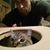 Jonathan Carpenter's profile image