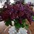 Sharon Tucker Scott's profile image