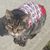 Audrey Humlan Sohier's profile image
