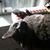 Pamela Sloma's profile image